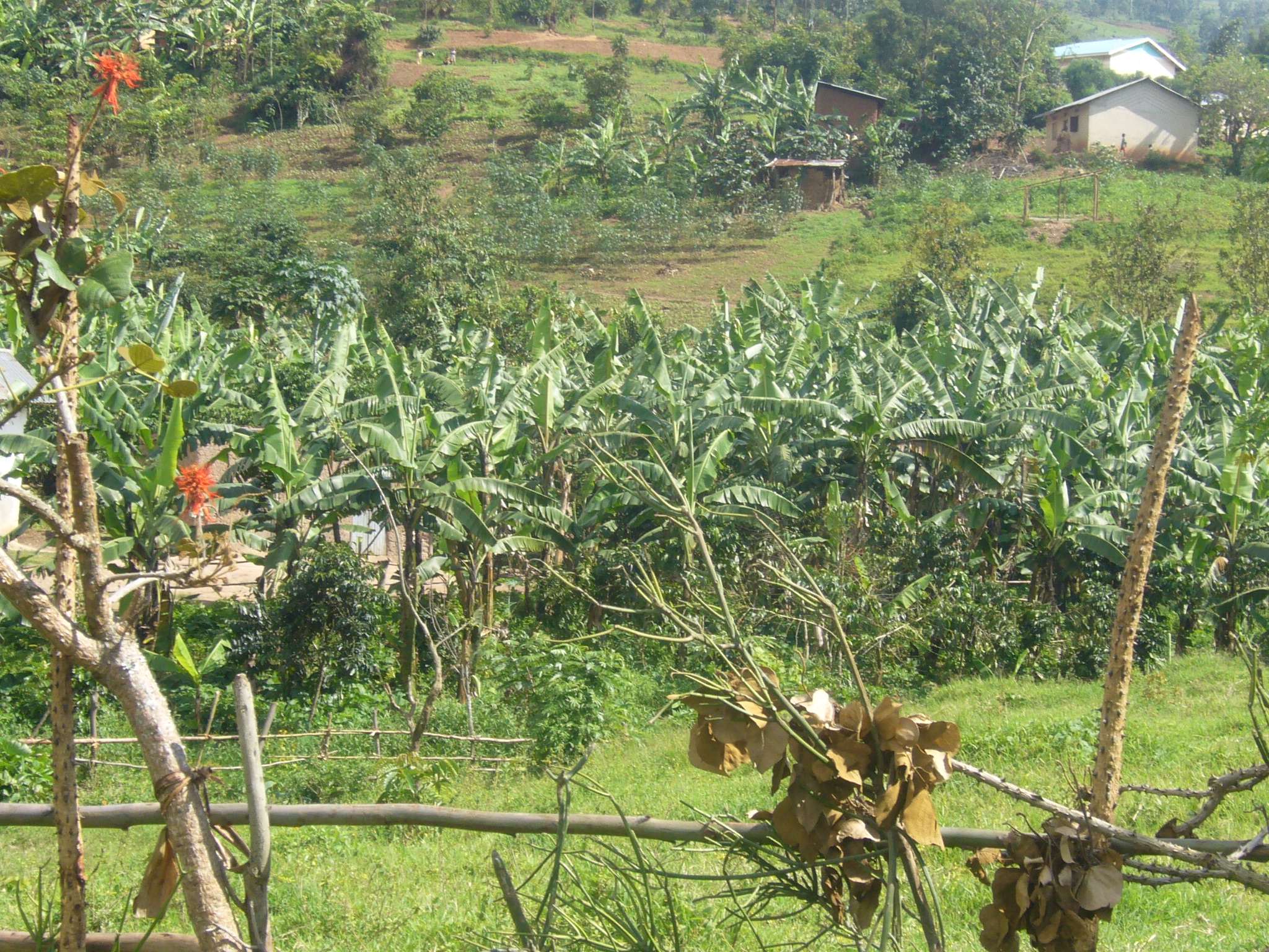 UG_field2