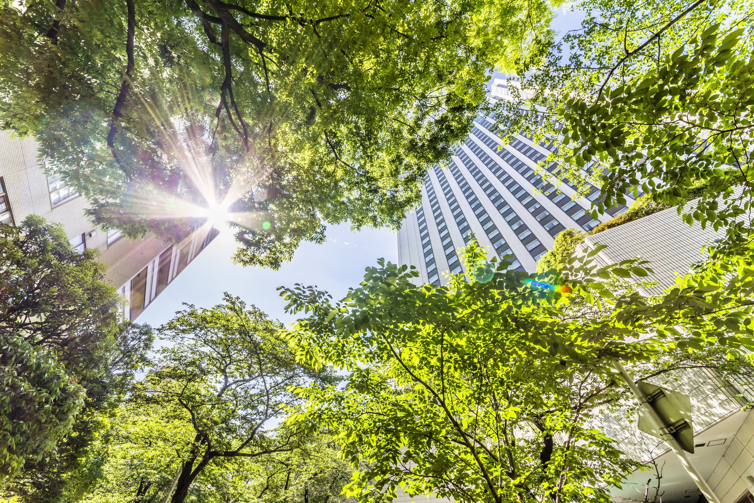Fresh,Green,And,Building